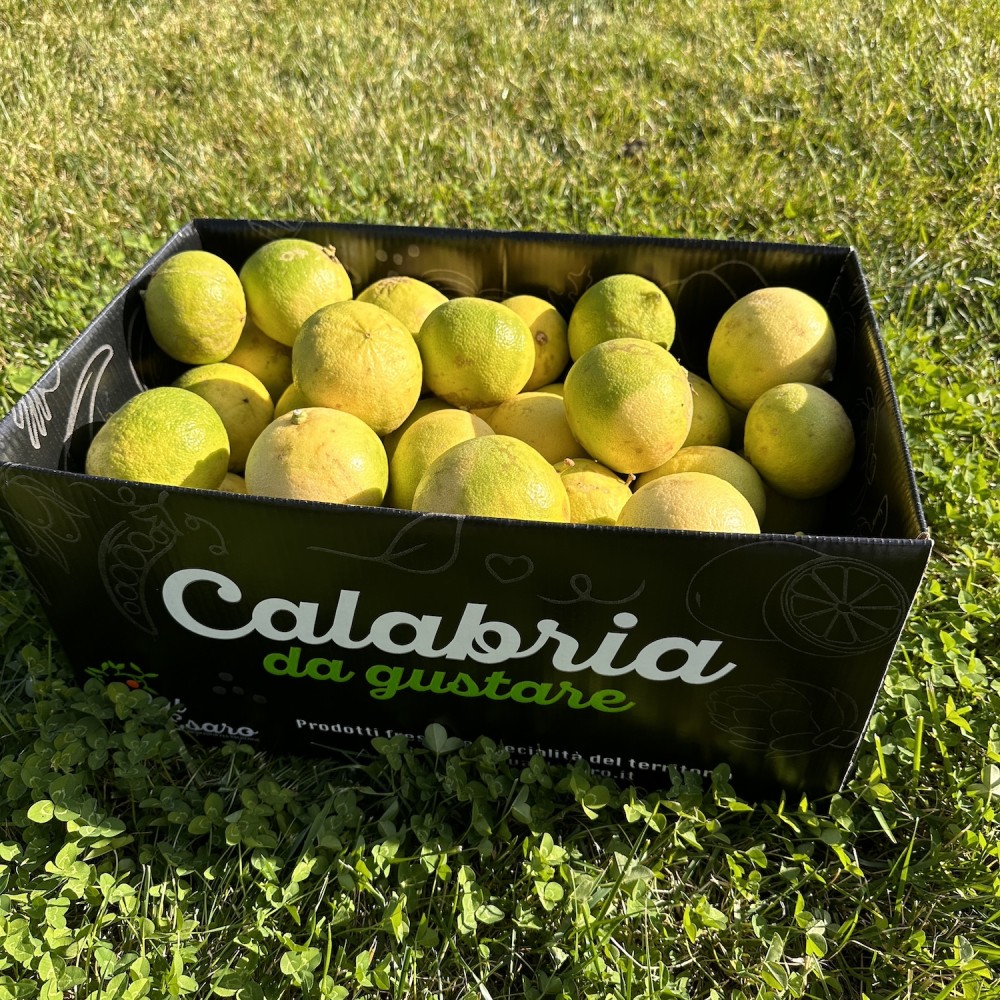 Bergamotti di Reggio Calabria